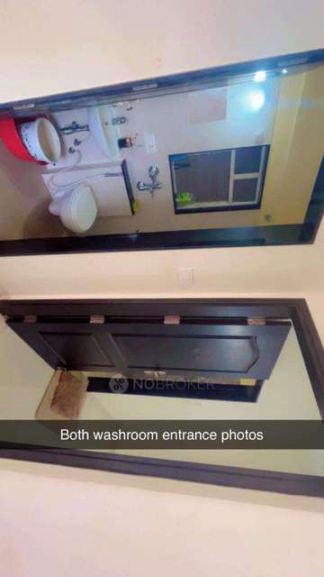 1 BHK Flat In Nyati Elan for Rent  In Wagholi