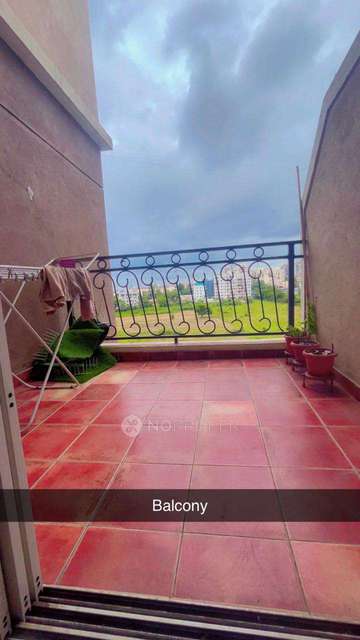 1 BHK Flat In Nyati Elan for Rent  In Wagholi