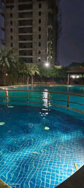 1 BHK Flat In Nyati Elan for Rent  In Wagholi