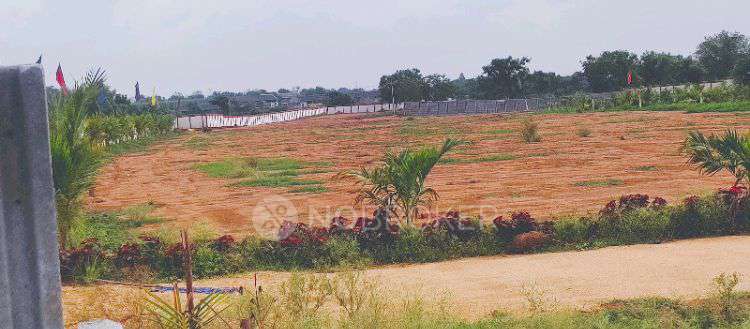 Plot For Sale  In Tulip In Kandukur