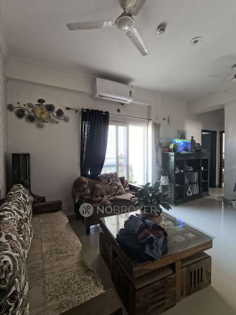 2 BHK Flat In Amaatra Homes For Sale  In Sector 10, Greater Noida