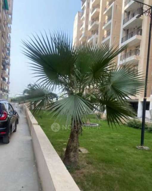 2 BHK Flat In Diya Greencity For Sale  In Raj Nagar Extension