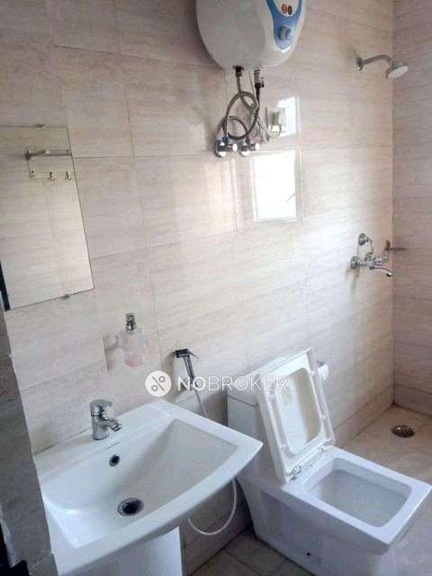 1 BHK Flat In Ajnara Daffodil For Sale  In Sector-137