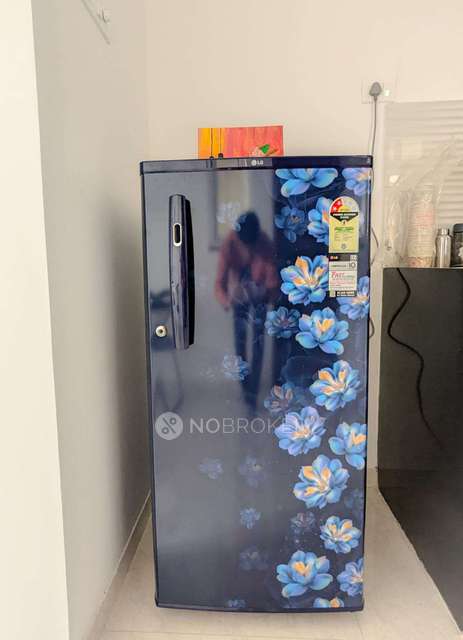 2 BHK Flat In Majestique Towers East Phase 2 for Rent  In Kharadi