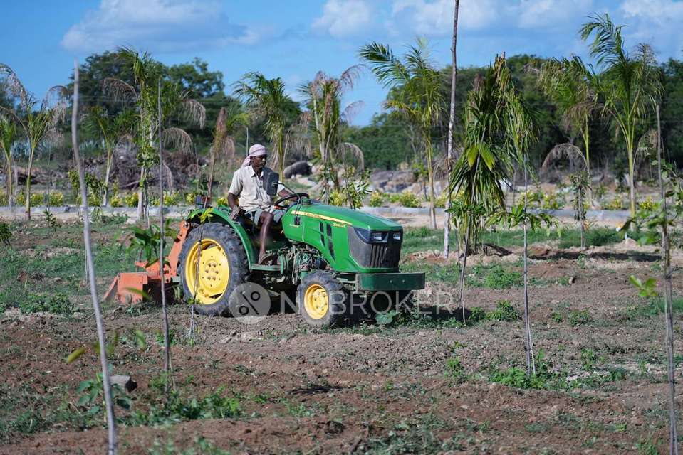Plot For Sale  In Sn Terrarium In Chikkaballapur
