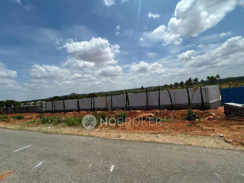 Plot For Sale  In Sn Terrarium In Chikkaballapur
