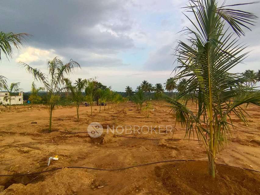 Plot For Sale  In Sn Terrarium In Chikkaballapur