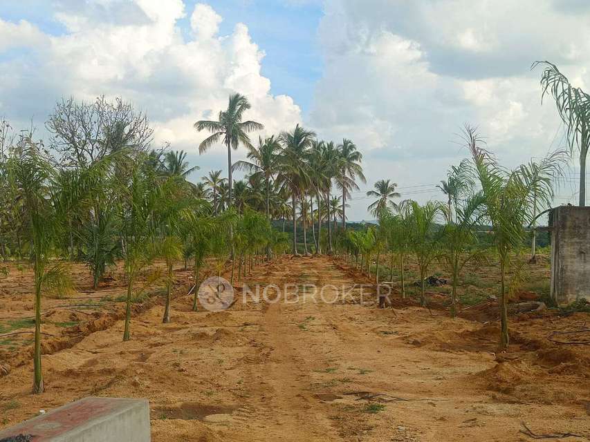 Plot For Sale  In Sn Terrarium In Chikkaballapur