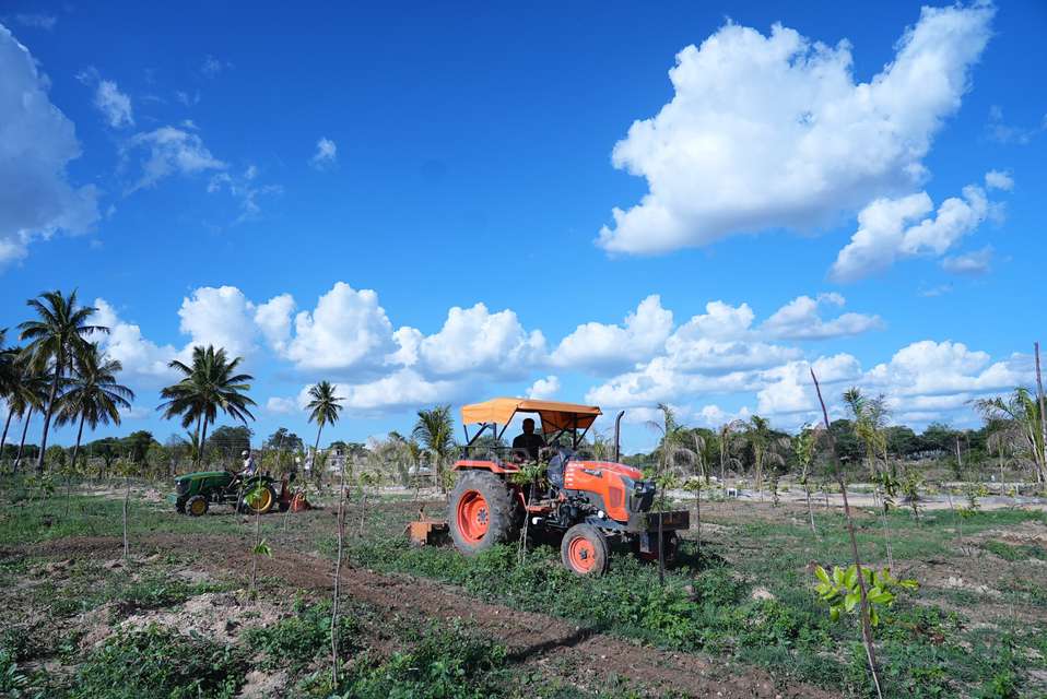 Plot For Sale  In Sn Terrarium In Chikkaballapur