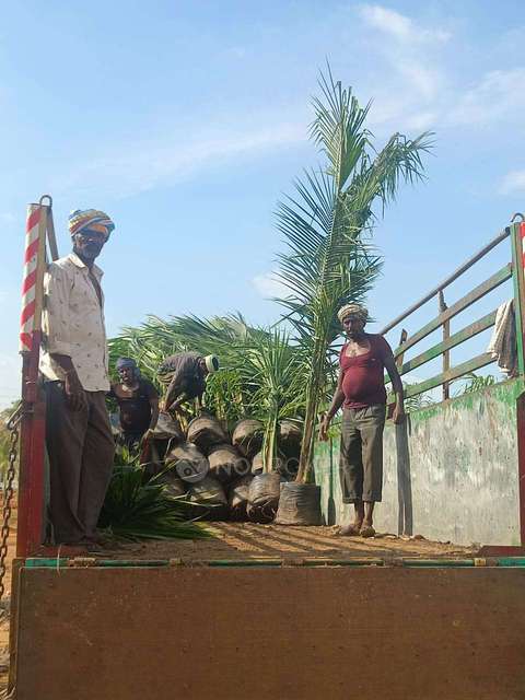 Plot For Sale  In Sn Terrarium In Chikkaballapur