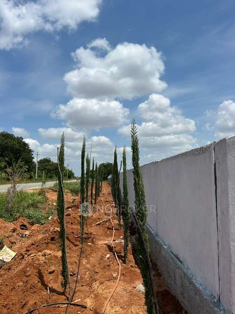 Plot For Sale  In Sn Terrarium In Chikkaballapur