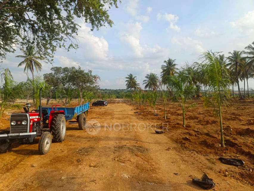 Plot For Sale  In Sn Terrarium In Chikkaballapur