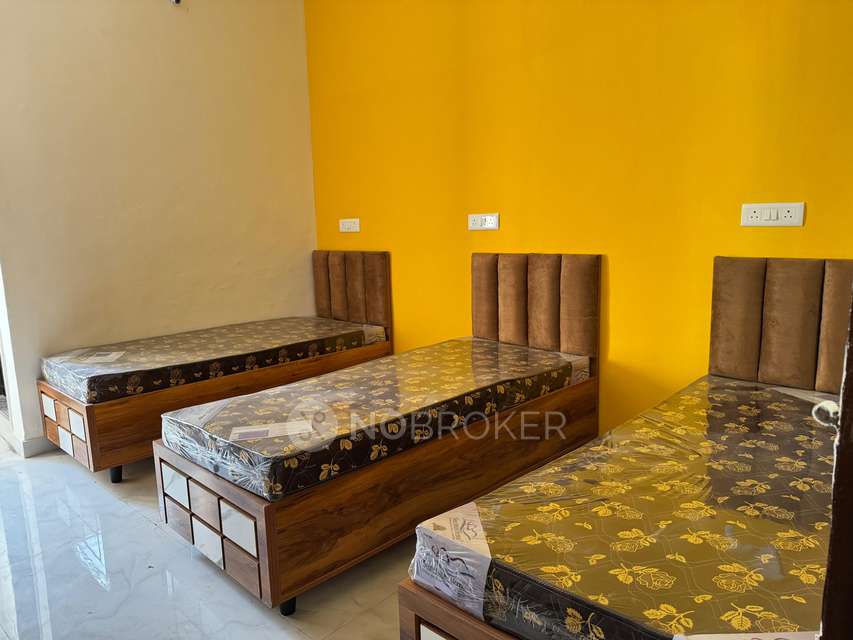 PG for Anyone in Talwade