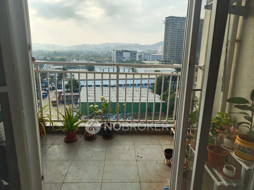 2 BHK Flat In Global Lifestyle for Rent  In  Hinjewadi