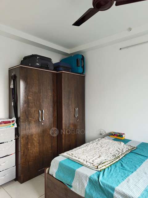 2 BHK Flat In Global Lifestyle for Rent  In  Hinjewadi