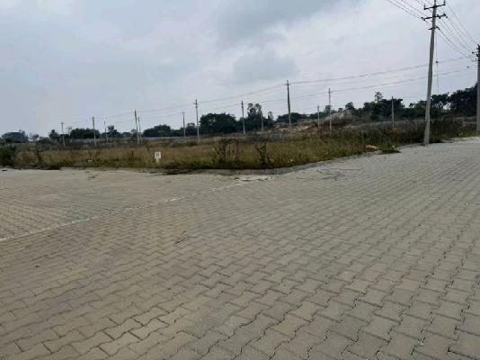 Plot For Sale  In Big Banyan Tree