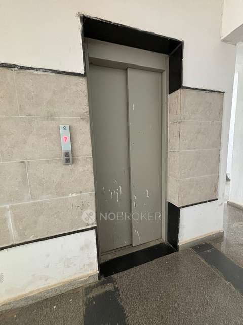 3 BHK Flat In Willow Park Luxury Apartments At Kalkere Horamayu For Sale  In East Taluk