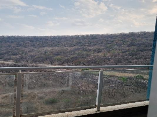 Single Room for Female In 2 BHK  In Megapolis Symphony In  Hinjewadi Phase 3