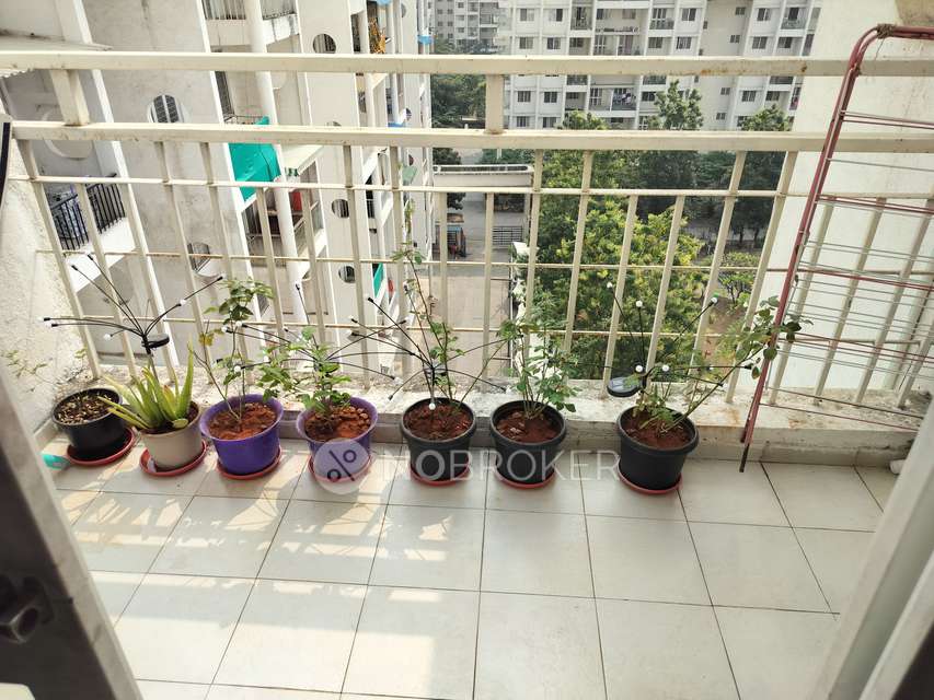 2 BHK Flat In Goel Ganga Sparsh For Sale  In Undri