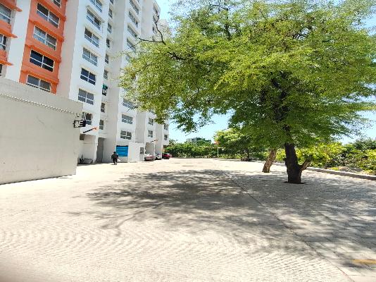 2 BHK Flat In K Town for Rent In Kiwale, Ravet