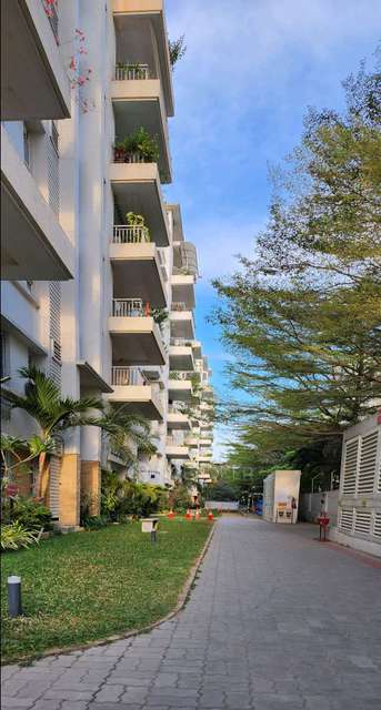 3 BHK Flat In Svc Treewalk Apartments Kondapur for Rent  In Block-a, Sai Pruthvi Enclave, Masjid Banda Rd, Sai Pruthvi Enclave, Kondapur, Telangana 500084, India