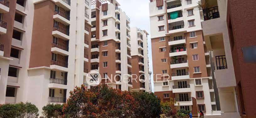 3 BHK Flat In Ncc Cyber Urbania For Sale  In  Osman Nagar