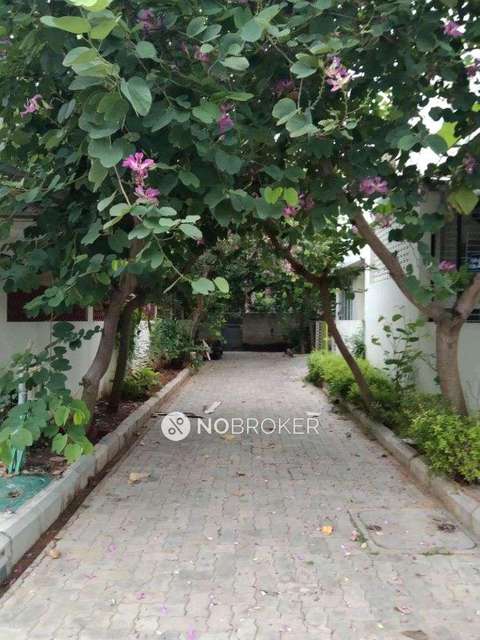 3 BHK House For Sale  In Alapakkam