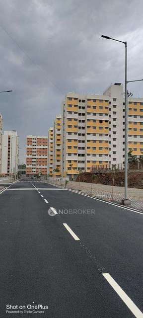 2 BHK Flat In A17 Purandar for Rent  In Bhosari