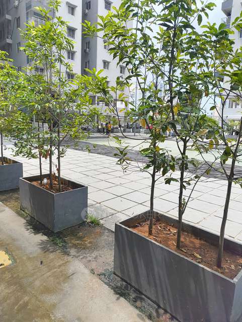 3 BHK Flat In Jains Carlton Creek For Sale  In Manikonda