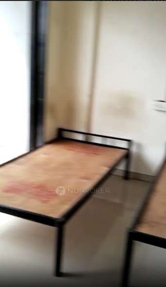 Single Room for Female In 2 BHK  In Krishnakung Society Ravet In Pimpri-chinchwad