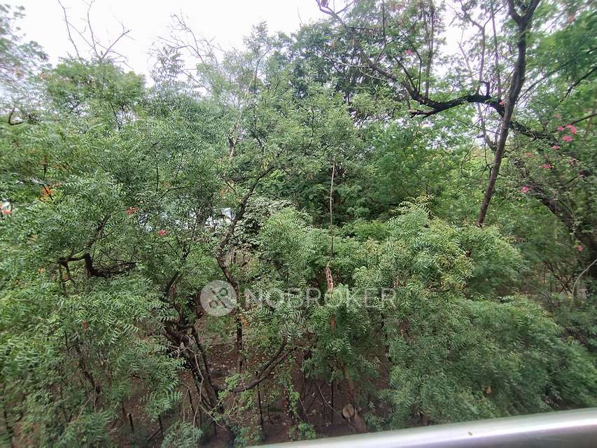 2 BHK Flat In Viman Platinum for Rent  In Viman Platinum