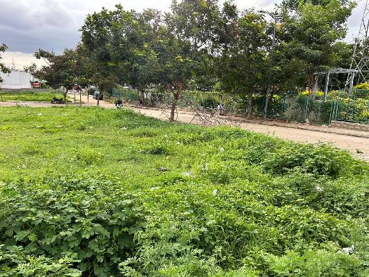 Plot For Sale  In Royal Township In Nagarur Colony