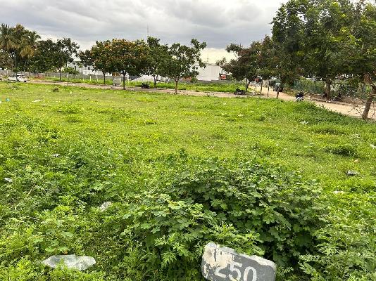 Plot For Sale  In Royal Township In Nagarur Colony