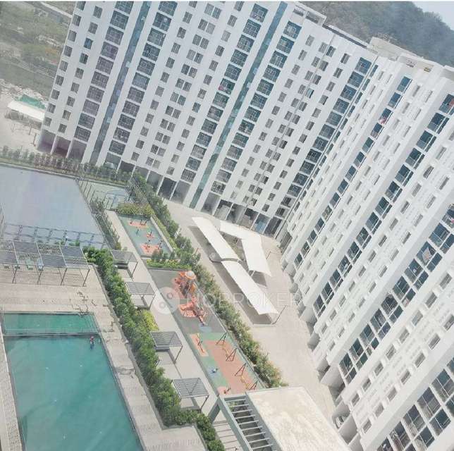 2 BHK Flat In Megapolis Saffron for Rent  In Hinjewadi