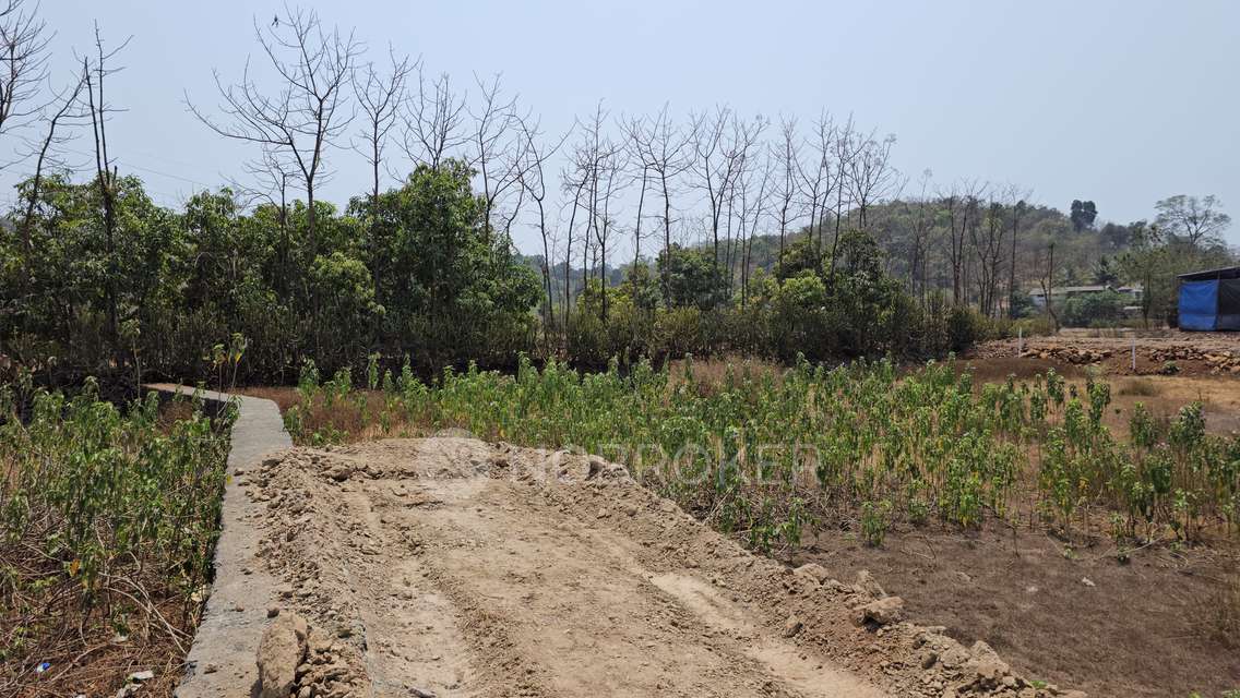 Plot For Sale  In Panvel