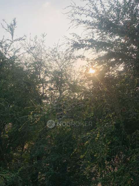 1 BHK Flat In Sai Nivas for Rent  In Koregaon Park Annexe