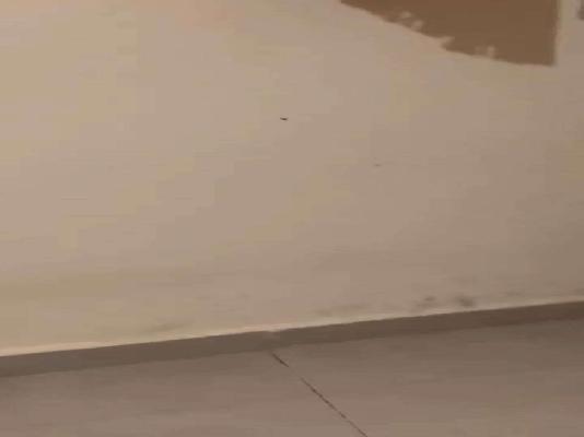 1 BHK Flat In Leo Construction For Sale  In Powai