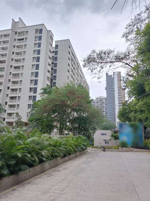 2 BHK Flat In Kanchan Royal Exotica for Rent  In Kondhwa