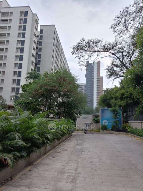 2 BHK Flat In Kanchan Royal Exotica for Rent  In Kondhwa