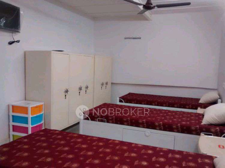 PG for Boys in Sector 2