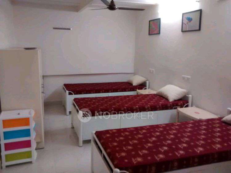 PG for Boys in Sector 2