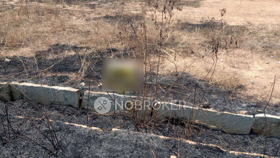 Plot For Sale  In Jr Gardens In Marsur