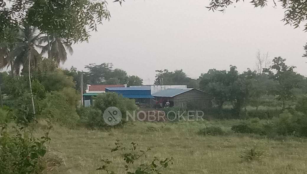 Plot For Sale  In T. Nagar