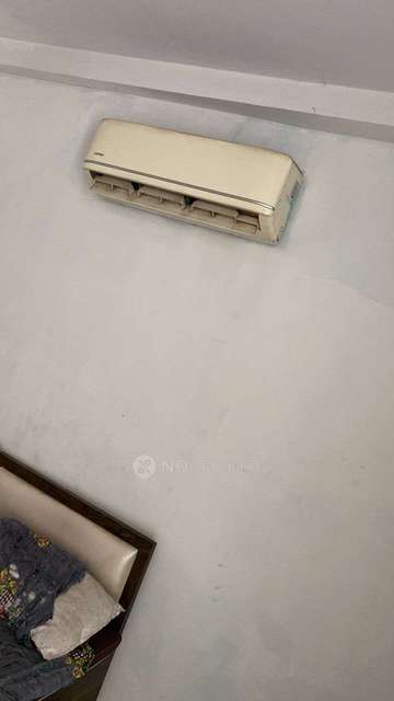 PG for Anyone in Pitampura