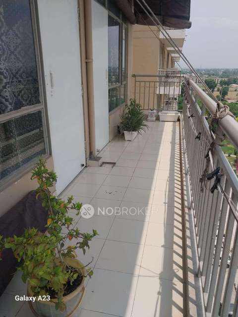 2 BHK Flat In Rbc Hills View For Sale  In Sohna