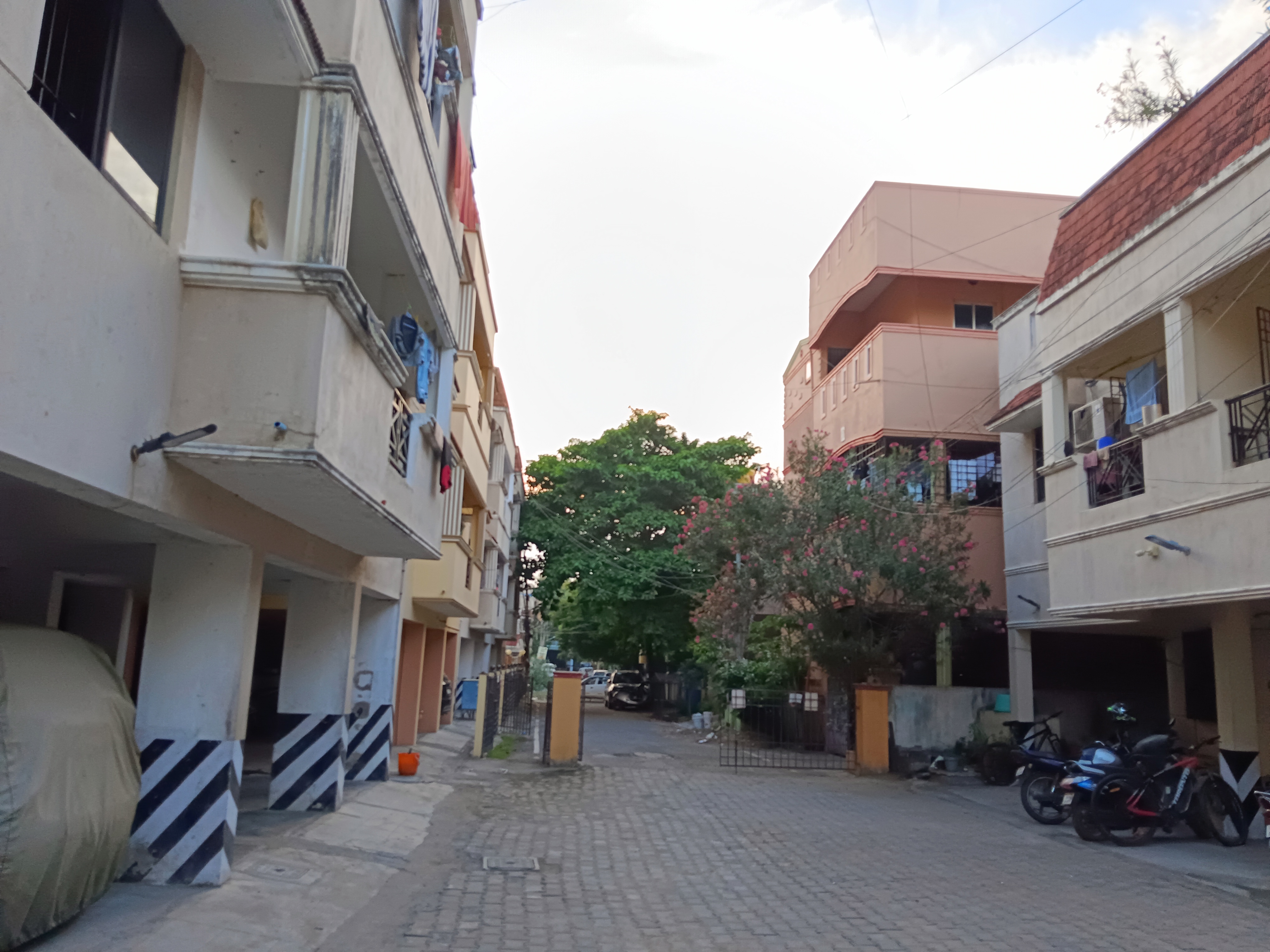 Mountain View Meadows