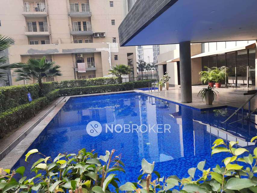 3 BHK Flat In Paras Seasons For Sale  In Sector 168