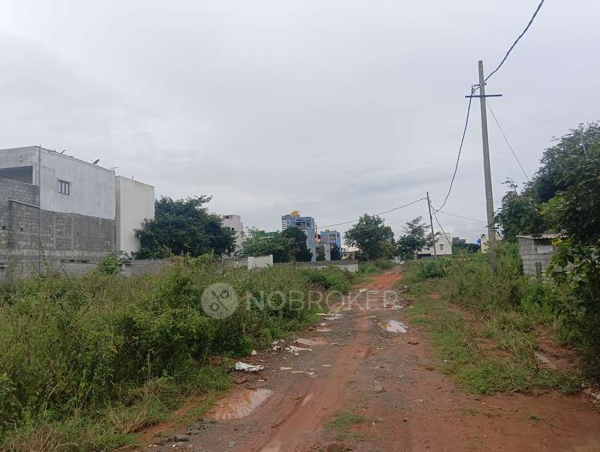 Plot For Sale  In Rayasandra