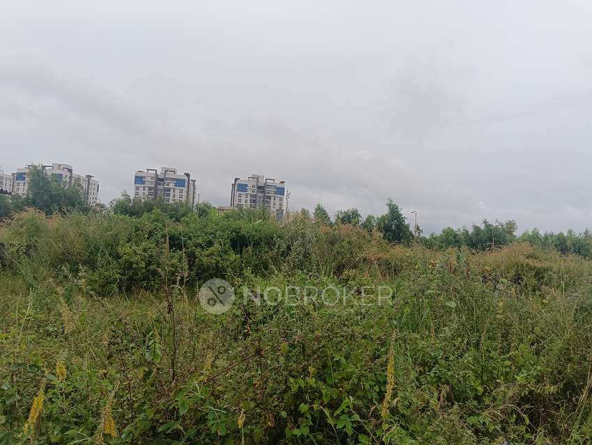 Plot For Sale  In Rayasandra