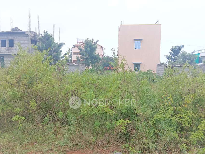Plot For Sale  In Rayasandra